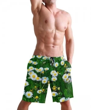 Board Shorts Mens Surfing Shorts Animals Lizards Swim Trunks Shorts - Spring Daisy Flower Sea - CW18W769CUX