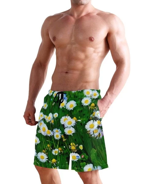 Board Shorts Mens Surfing Shorts Animals Lizards Swim Trunks Shorts - Spring Daisy Flower Sea - CW18W769CUX