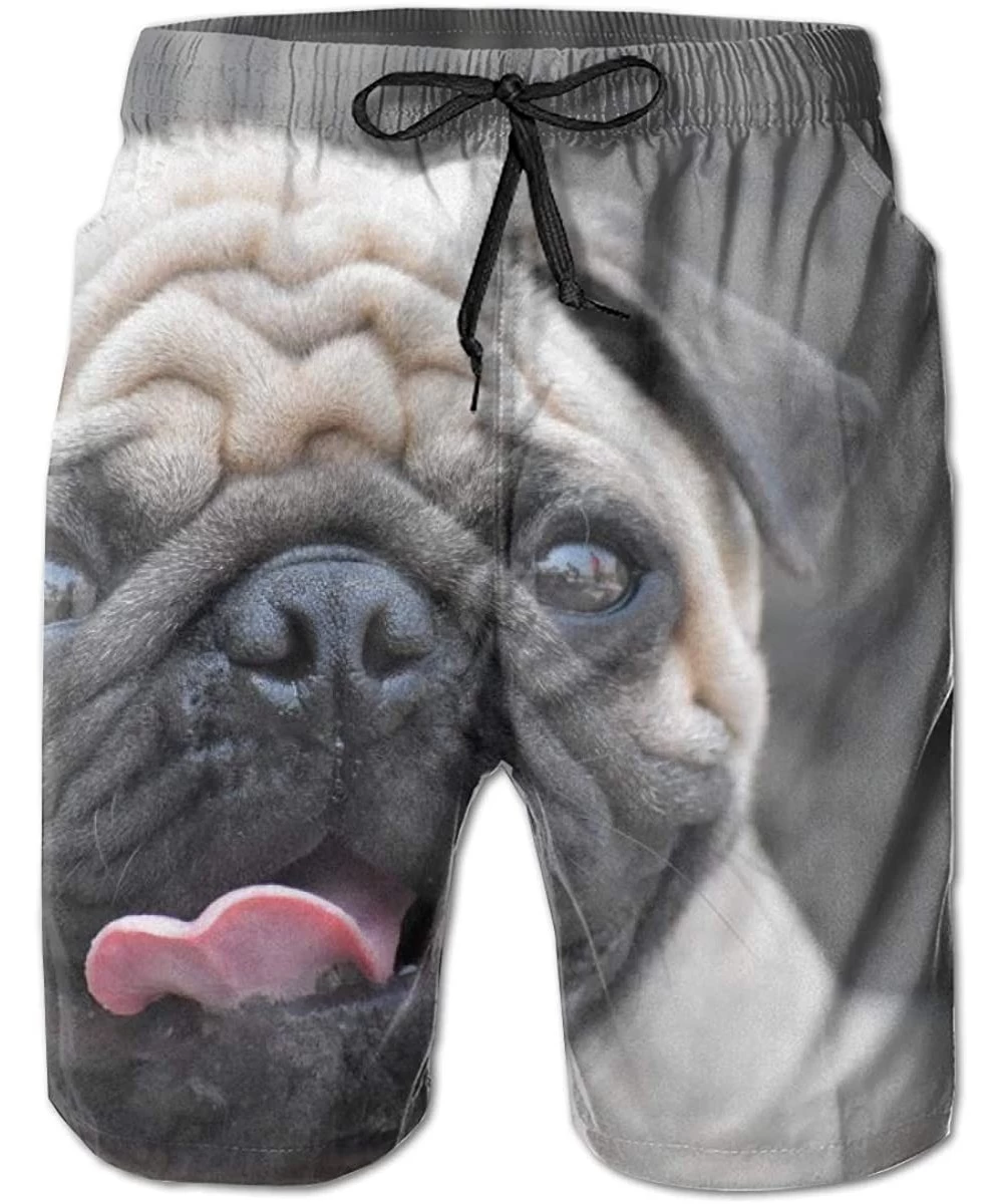 Trunks Men's Swim Trunks Quick Dry Beach Swim Shorts with Pockets Bathing Suits (Purple Galaxy Blue) - Pug Dog - CU18SZN4YLA