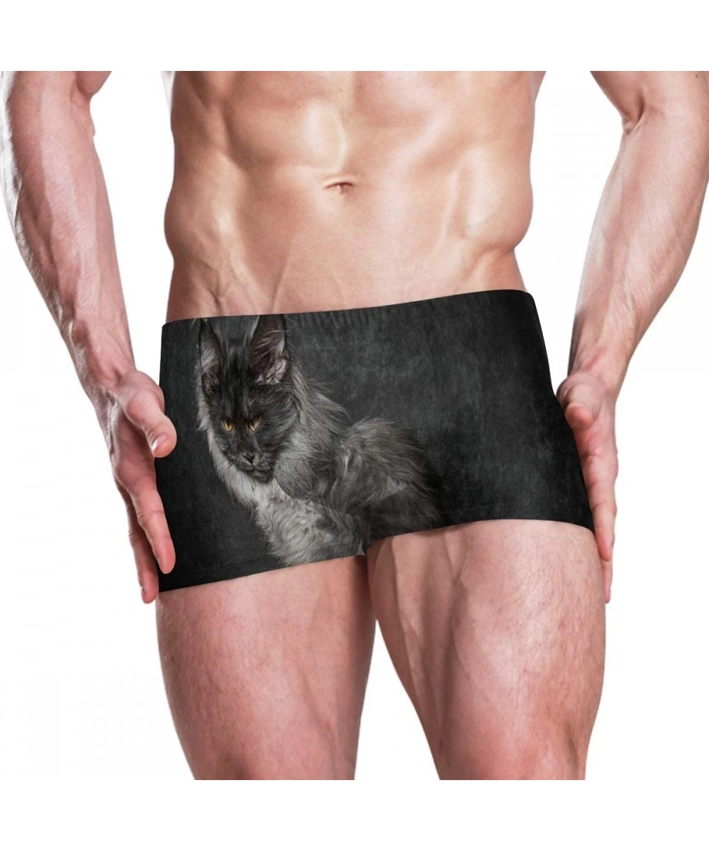 Trunks Cat Maine Coon Men's Swim Trunks-Hot Swim Shorts-Quick Dry Beach Shorts- Swimwear - As Pattern - CU196Z894XS