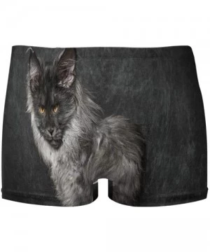 Trunks Cat Maine Coon Men's Swim Trunks-Hot Swim Shorts-Quick Dry Beach Shorts- Swimwear - As Pattern - CU196Z894XS