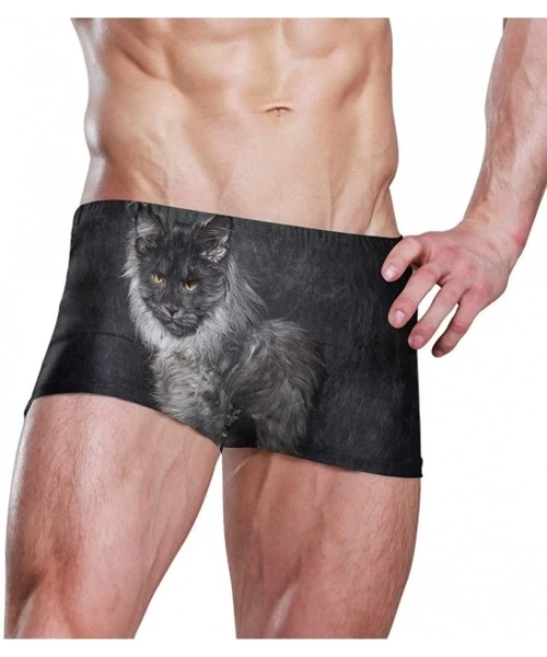 Trunks Cat Maine Coon Men's Swim Trunks-Hot Swim Shorts-Quick Dry Beach Shorts- Swimwear - As Pattern - CU196Z894XS