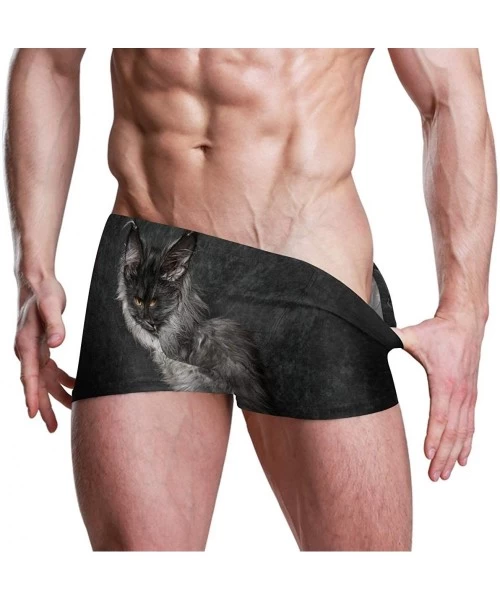 Trunks Cat Maine Coon Men's Swim Trunks-Hot Swim Shorts-Quick Dry Beach Shorts- Swimwear - As Pattern - CU196Z894XS