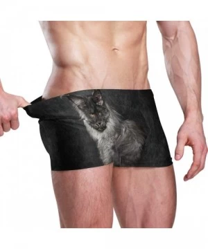 Trunks Cat Maine Coon Men's Swim Trunks-Hot Swim Shorts-Quick Dry Beach Shorts- Swimwear - As Pattern - CU196Z894XS