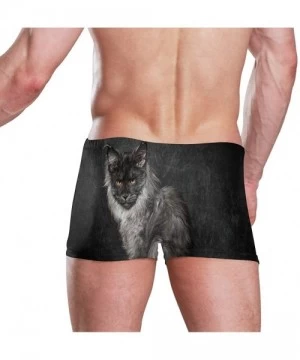 Trunks Cat Maine Coon Men's Swim Trunks-Hot Swim Shorts-Quick Dry Beach Shorts- Swimwear - As Pattern - CU196Z894XS