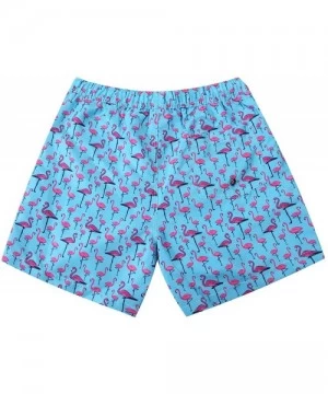 Board Shorts Mens Swimwear Flamingo Boardshort-Many and Various Prints Shorts-Swim Trunks with Mesh Lining and Pockets - 9 Fl...