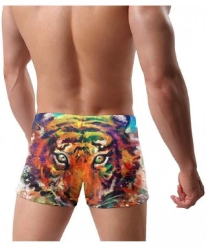 Briefs Mens Swim Briefs Sport Thong Swimsuit Competitive Swim Suit - Colorful Tiger - CF19CZCLK4L