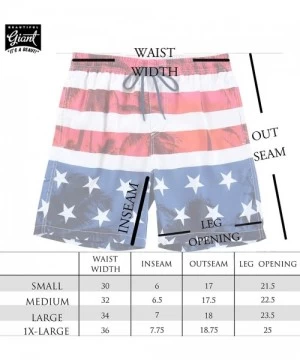 Board Shorts Men's Swim Trunks Quick Dry Beach Shorts with Mesh Lining - Fish-graphite - CR18WE4NQDS