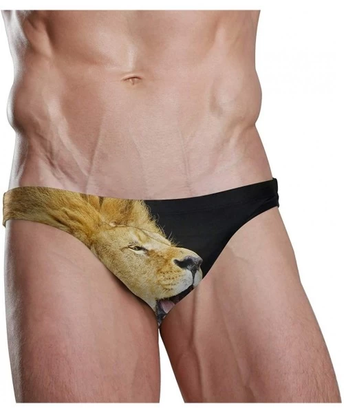 Briefs Mens Swim Bikini Briefs Pole Dance Swimwear Surf Shorts Trunks - Lion - C018XD846LN