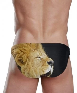 Briefs Mens Swim Bikini Briefs Pole Dance Swimwear Surf Shorts Trunks - Lion - C018XD846LN