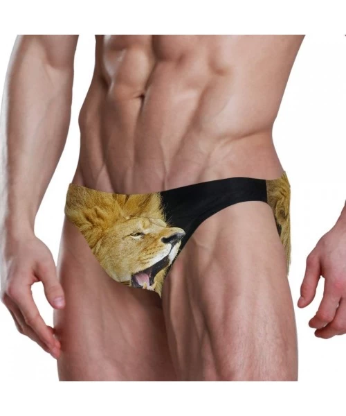 Briefs Mens Swim Bikini Briefs Pole Dance Swimwear Surf Shorts Trunks - Lion - C018XD846LN