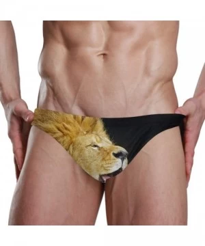 Briefs Mens Swim Bikini Briefs Pole Dance Swimwear Surf Shorts Trunks - Lion - C018XD846LN