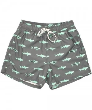 Trunks Men's Classic Shark Swim Trunk- Charcoal - CM18UITRAH6